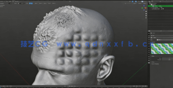 Blender数字雕刻初学者基础入门训练视频教程(图3)