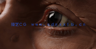 Blender人物肖像面部雕刻工作流程视频教程(图4)