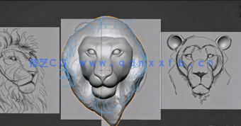 Blender数字肖像角色雕刻艺术技能训练视频教程(图4)