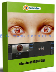 Blender逼真眼睛绑定与动画制作视频教程(图1)