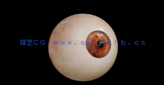 Blender逼真眼睛绑定与动画制作视频教程(图2)