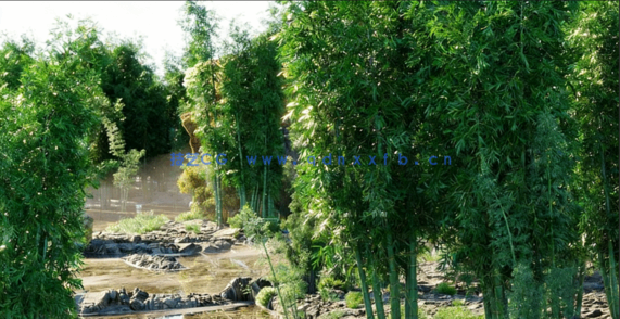 竹子植物3D模型 Globe Plants – Bundle 51(图2)