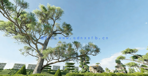 观赏植物和树篱3D模型Globe Plants - Bundle 57 - Ornamental Plants & Hedge 02(图3)