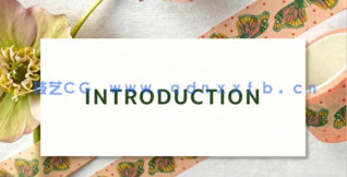 Illustrator制作矢量遮蔽纸胶带工作流程技巧视频教程(图5)