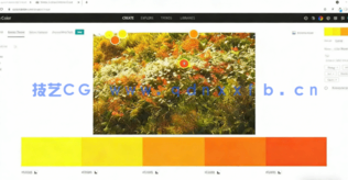 AI创建配色方案图形设计工作流程视频教程(图1)