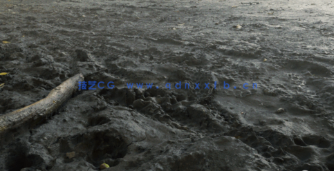 Blender与Reality Capture摄影测量技术制作照片3D化资产视频教程 (图3)