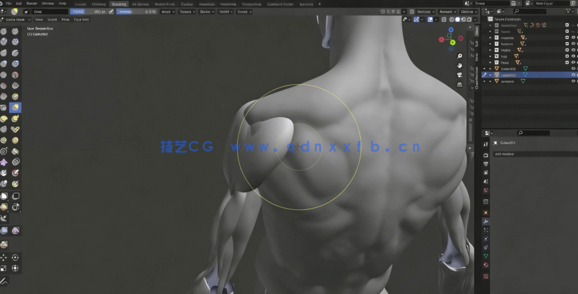  Blender人像雕塑肌肉雕刻3D解剖学大师级视频教程 (图2)
