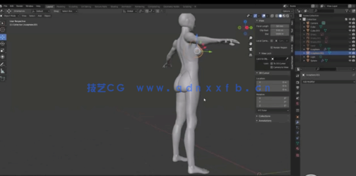  Blender人像雕塑肌肉雕刻3D解剖学大师级视频教程 (图3)
