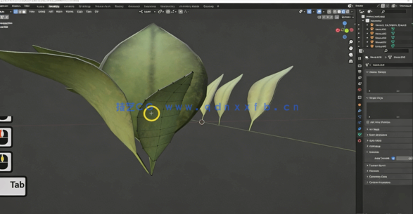 Blender与UE5制作3D植物和植被大师级视频教程 (图2)