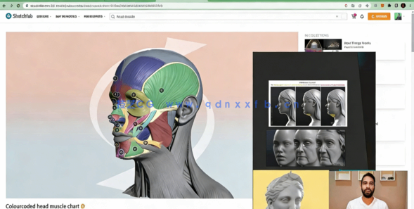 Blender女性解剖雕刻建模核心技术训练视频教程(图2)