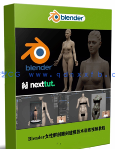  Blender女性解剖雕刻建模核心技术训练视频教程(图1)