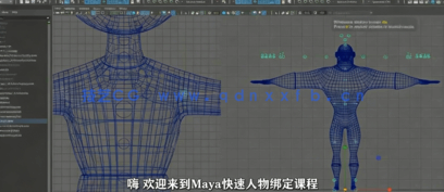 Maya快速角色身体绑定技术训练视频教程(图3)