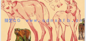 【中文字幕】Nomad Sculpt金刚狼角色手绘雕刻流程高阶教程(图3)