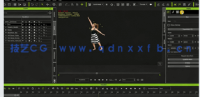 从事动画行业初学者入门完全训练指南视频教程(图3)