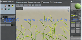 SpeedTree游戏树叶模型完整制作流程视频教程(图3)
