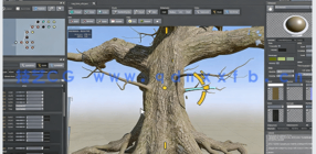 SpeedTree游戏树叶模型完整制作流程视频教程(图6)