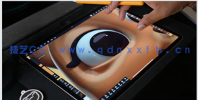 Nomad Sculpt手绘3D雕刻基础入门训练视频教程(图4)