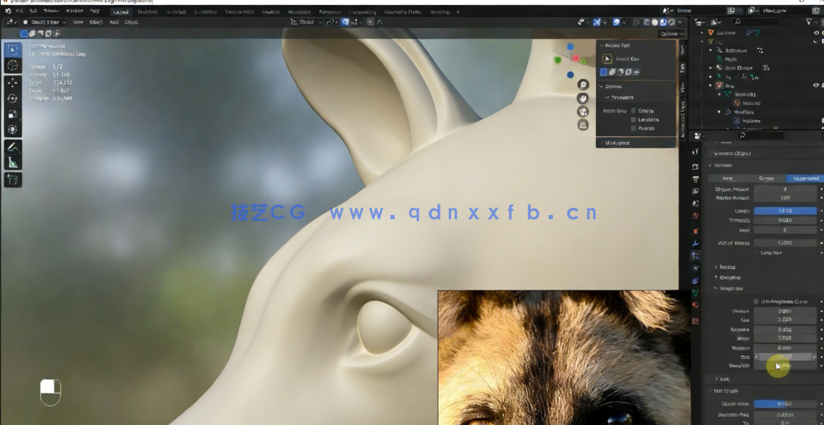 Blender非洲野狗逼真动物完整制作流程视频课程 (图2)