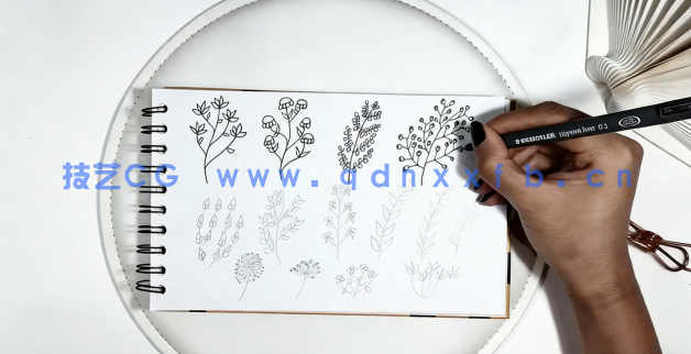 【中文字幕】AI初学者花卉植物重复图案平面插图设计视频教程(图5)
