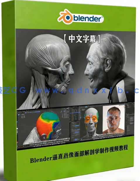 Blender逼真肖像面部骨骼肌肉解剖学制作视频教程 (图1)