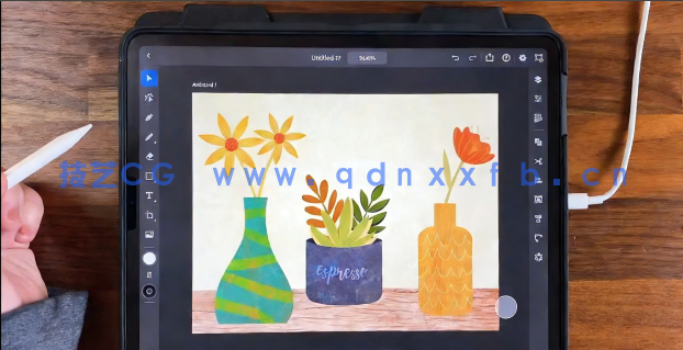  iPad版AI创建花卉插图实例训练教程 (图1)