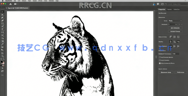  Illustrator CC 2021核心技术训练视频教程(图2)