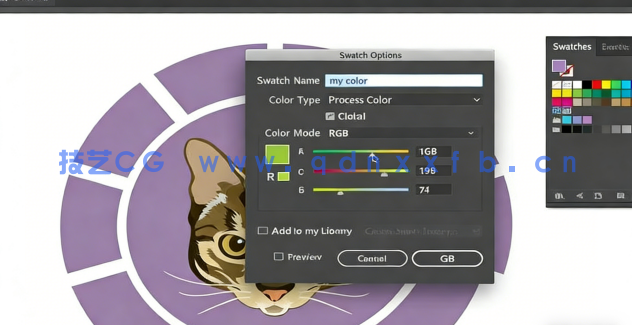  Illustrator CC 2021核心技术训练视频教程(图4)