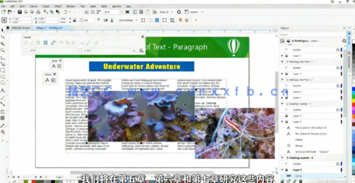 【中文字幕】CorelDraw 2021全面核心技术训练视频教程(图4)