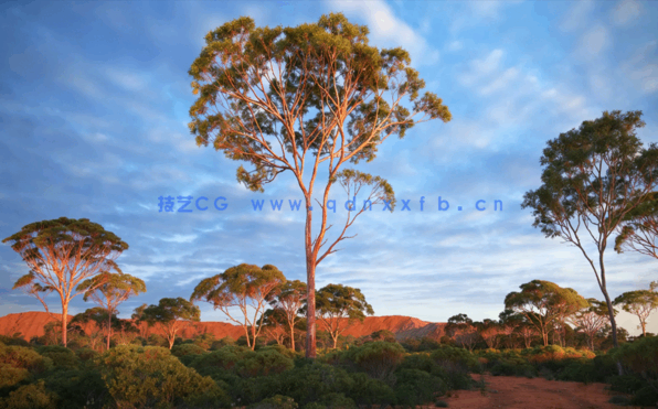 澳洲大洋洲树木3D模型Archmodels Vol.238(图2)