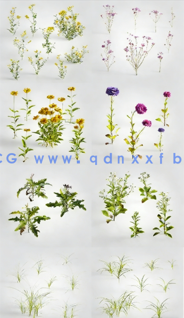 高质量花草Evermotion – Archmodels Vol.235(图3)