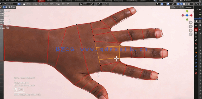 Blender 4编辑模式设置与人体建模训练视频教程(图5)