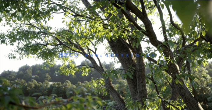 Evermotion Archmodels for Corona Vol. 1(树木合集)(图3)