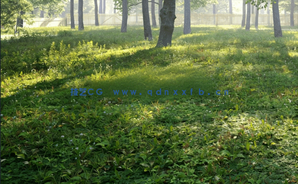 植物 Evermotion – Archmodels vol. 226(图2)