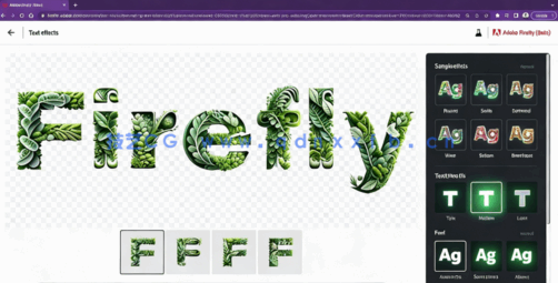 Adobe Firefly人工智能技术完全指南视频教程(图4)