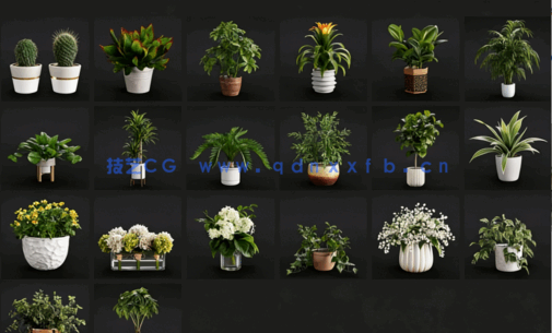  室内盆栽植物Evermotion - Archmodels vol.282(图4)