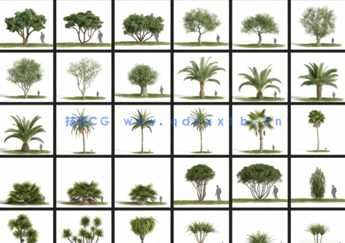 地中海树木Evermotion – Archmodels Vol.269(图5)