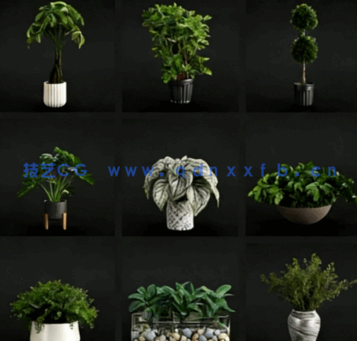 室内植物模型。你可以丰富你的形象，使你的投资组合更有吸引力(图3)