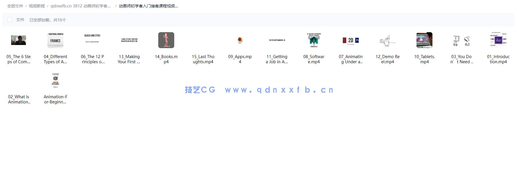 动画师初学者入门指南课程视频教程(图1)