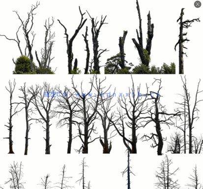 高清枯树免抠素材PHOTOBASH – Dead Trees(图1)