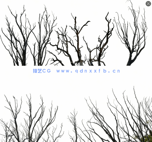 高清枯树免抠素材PHOTOBASH – Dead Trees(图3)