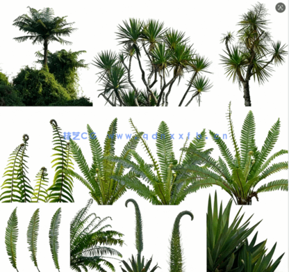 高清植物免抠素材PHOTOBASH – Prehistoric Plants(图1)