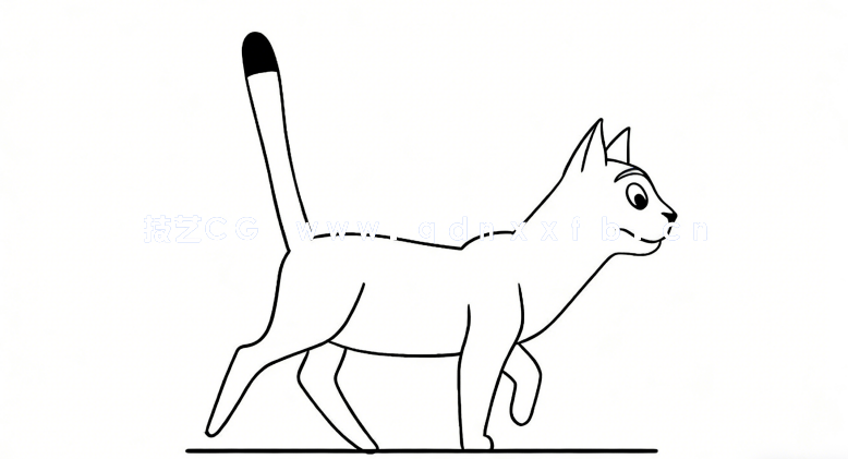 Adobe Animate动物行走奔跑姿态动画制作视频教程(图4)