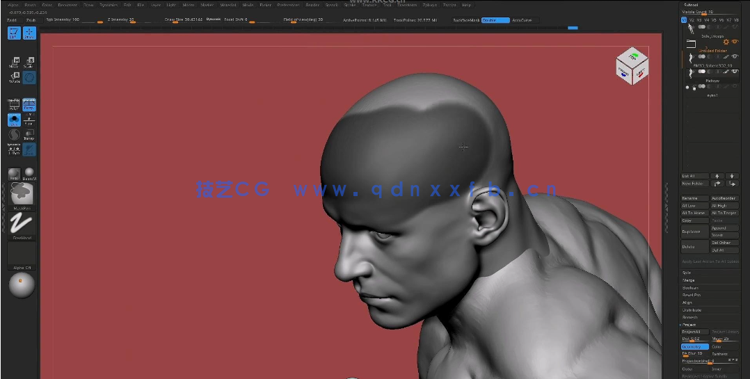 Zbrush写实健美运动员雕刻解剖结构视频教程(图2)