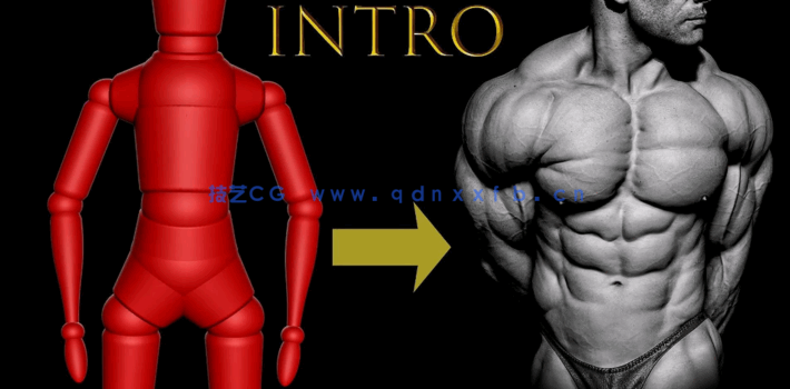 Zbrush写实健美运动员雕刻解剖结构视频教程(图3)