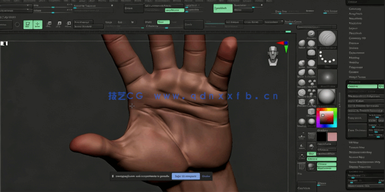 ZBrush手掌手臂数字雕刻技术训练视频教程(图3)