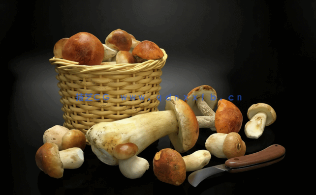 Evermotion Archmodels Vol.213[真实扫描食物餐具3d模型(图2)