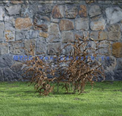 花园植物灌木3D模型 Evermotion – Archmodels Vol.204(图1)