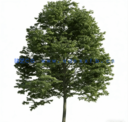 Evermotion archmodel.163 54棵高精度植物模型(图3)