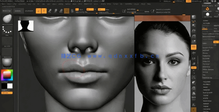 Zbrush女性人物头部肖像数字雕刻流程视频教程(图6)
