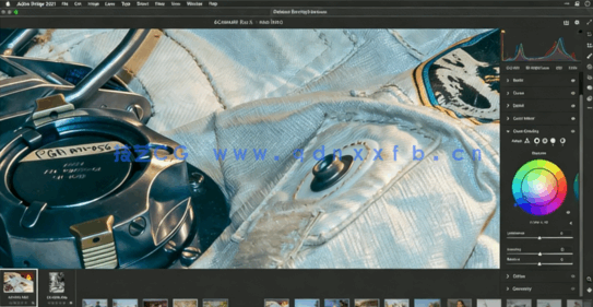  Camera Raw照片编辑基础工具实例工作流程技术视频教程(图1)